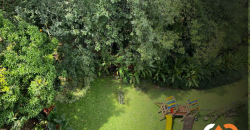 Apartamento para renta ubicado en la transversal inferior en el Poblado Medellín